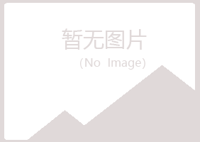 芦岛龙港白山咨询有限公司